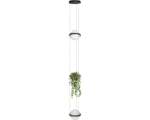 Подвесной светильник Jardin 10121/2P Dark grey Loft It Подвесной светильник Jardin 10121/2P Dark grey Loft It