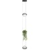Подвесной светильник Jardin 10121/2P Dark grey Loft It