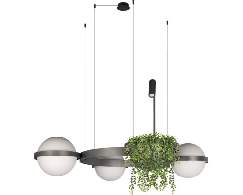Подвесной светильник Jardin 10121/3 Dark grey Loft It Подвесной светильник Jardin 10121/3 Dark grey Loft It
