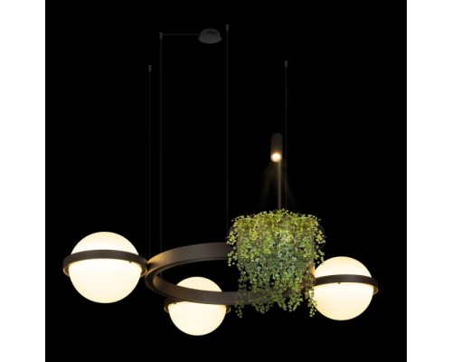 Подвесной светильник Jardin 10121/3 Dark grey Loft It Подвесной светильник Jardin 10121/3 Dark grey Loft It