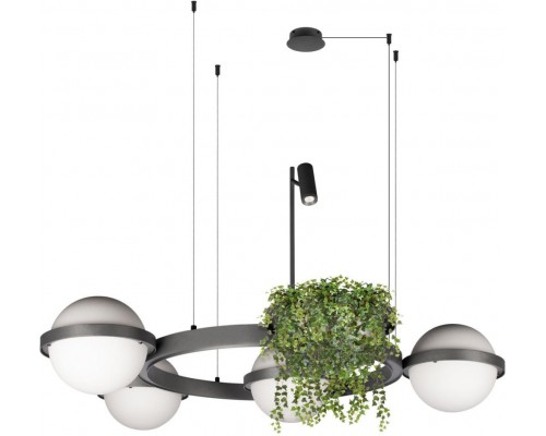 Подвесной светильник Jardin 10121/4 Dark grey Loft It Подвесной светильник Jardin 10121/4 Dark grey Loft It