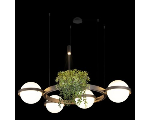 Подвесной светильник Jardin 10121/4 Dark grey Loft It Подвесной светильник Jardin 10121/4 Dark grey Loft It