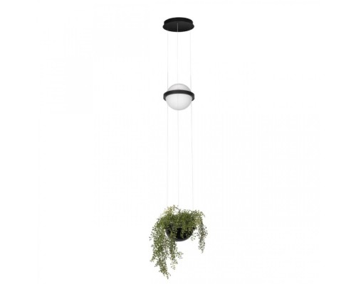 Подвесной светильник Jardin 10121/B Loft It Подвесной светильник Jardin 10121/B Loft It