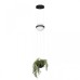 Подвесной светильник Jardin 10121/B Loft It