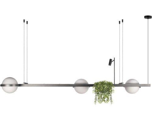 Подвесной светильник Jardin 10121/C Dark grey Loft It Подвесной светильник Jardin 10121/C Dark grey Loft It