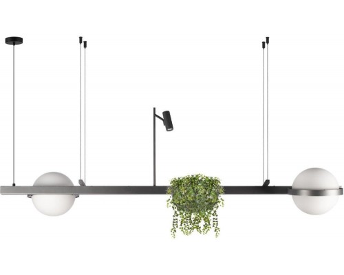 Подвесной светильник Jardin 10121/D Dark grey Loft It Подвесной светильник Jardin 10121/D Dark grey Loft It