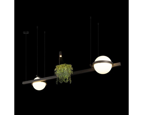 Подвесной светильник Jardin 10121/D Dark grey Loft It Подвесной светильник Jardin 10121/D Dark grey Loft It