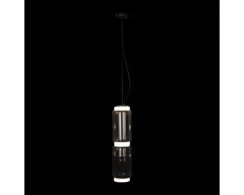 Подвесной светильник Noctambule 10194/M Loft It Подвесной светильник Noctambule 10194/M Loft It