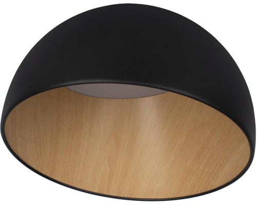 Потолочный светильник Egg 10197/350 Black Loft It Потолочный светильник Egg 10197/350 Black Loft It