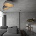 Потолочный светильник Egg 10197/350 Grey Loft It