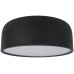 Потолочный светильник Axel 10201/350 Black Loft It