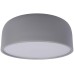 Потолочный светильник Axel 10201/350 Grey Loft It