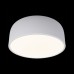 Потолочный светильник Axel 10201/350 White Loft It