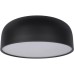 Потолочный светильник Axel 10201/480 Black Loft It