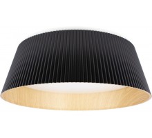 Потолочный светильник Evans 10224 Black Loft It
