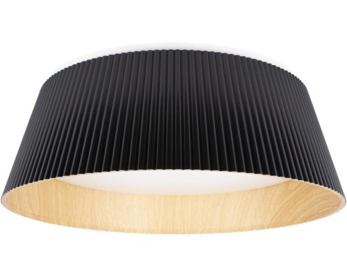 Потолочный светильник Evans 10224 Black Loft It Потолочный светильник Evans 10224 Black Loft It