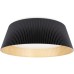 Потолочный светильник Evans 10224 Black Loft It