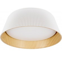 Потолочный светильник Evans 10224 White Loft It