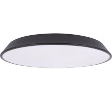 Потолочный светильник Brim 10226 Black Loft It