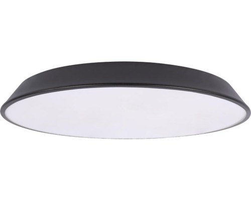 Потолочный светильник Brim 10226 Black Loft It Потолочный светильник Brim 10226 Black Loft It