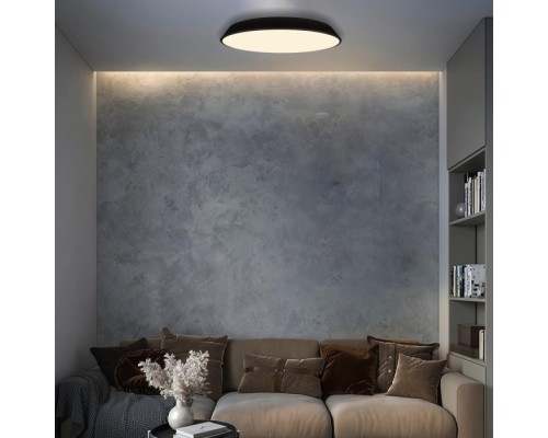 Потолочный светильник Brim 10226 Black Loft It Потолочный светильник Brim 10226 Black Loft It