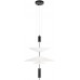 Подвесной светильник Skylar 10244/B Black Loft It
