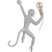 Настенный светильник Monkey 10314W/A Loft It