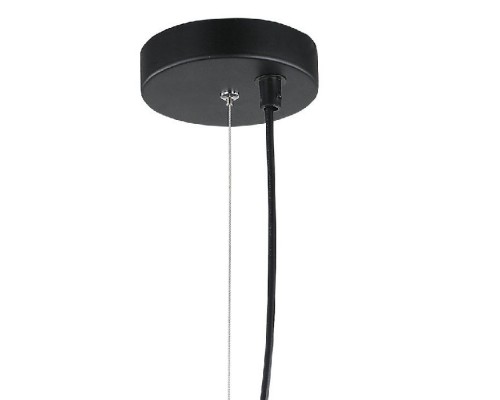 Подвесной светильник Лассе 4030/1P-BK-BK Lumien Hall