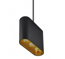 Подвесной светильник Eloi 8004/3P-BK-GD Lumien Hall
