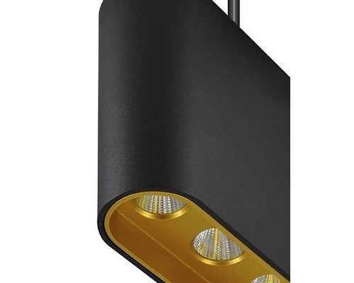 Подвесной светильник Eloi 8004/3P-BK-GD Lumien Hall Подвесной светильник Eloi 8004/3P-BK-GD Lumien Hall