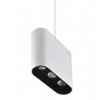 Подвесной светильник Eloi 8004/3P-WT-BK Lumien Hall