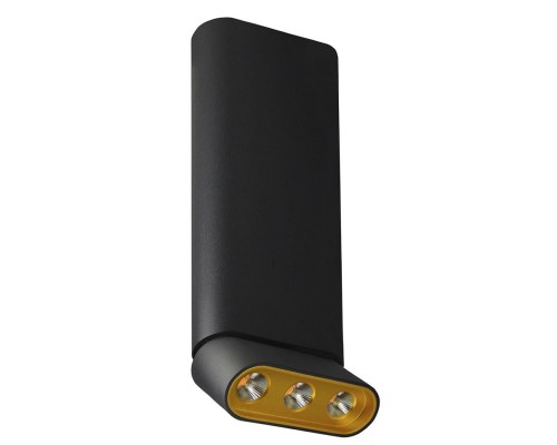 Спот Фергус 8005/3CL-BK-GD Lumien Hall