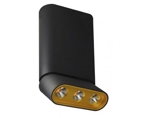 Спот Фергус 8005/3CM-BK-GD Lumien Hall Спот Фергус 8005/3CM-BK-GD Lumien Hall