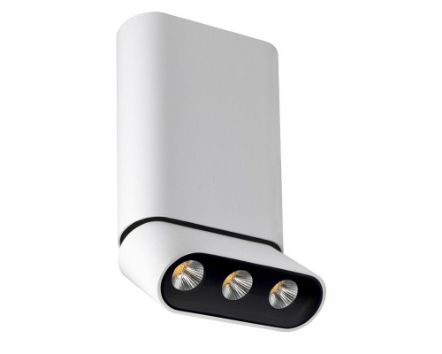 Спот Фергус 8005/3CM-WT-BK Lumien Hall Спот Фергус 8005/3CM-WT-BK Lumien Hall