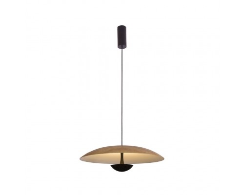 Подвесной светильник Arta 8007/1PL-WD Lumien Hall