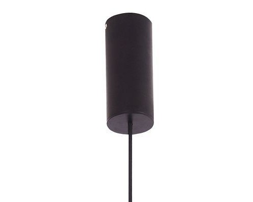Подвесной светильник Arta 8007/1PL-WD Lumien Hall