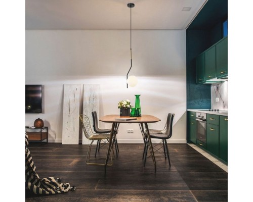 Подвесной светильник Paterno LH4113/1PS-BK-BR Lumien Hall Подвесной светильник Paterno LH4113/1PS-BK-BR Lumien Hall