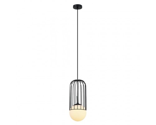 Подвесной светильник Turi LH4115/1P-BK Lumien Hall Подвесной светильник Turi LH4115/1P-BK Lumien Hall