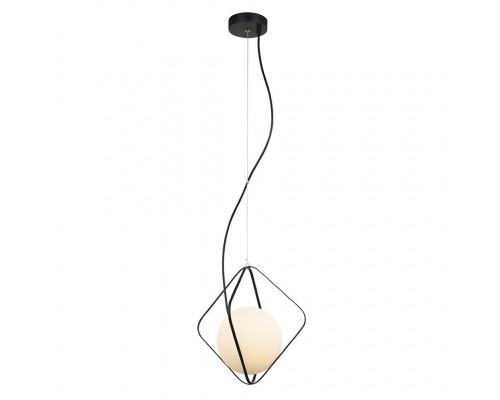 Подвесной светильник Ortezi LH4116/1P-BK Lumien Hall Подвесной светильник Ortezi LH4116/1P-BK Lumien Hall