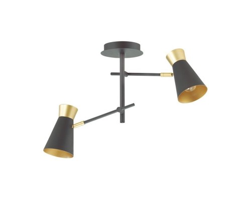 Потолочная люстра Liam 3790/2C Lumion Потолочная люстра Liam 3790/2C Lumion