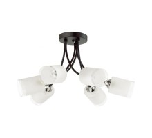 Потолочная люстра Paula 4533/6C Lumion