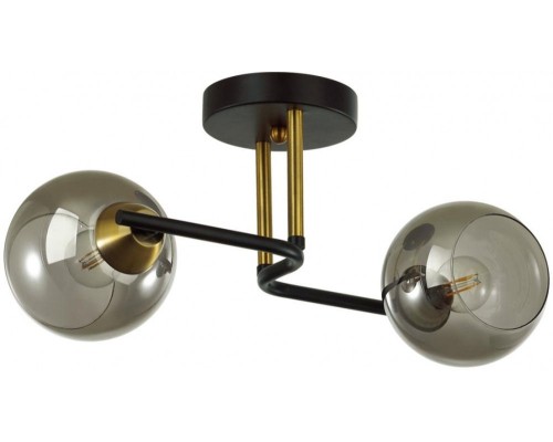 Потолочная люстра Janet 5217/2C Lumion Потолочная люстра Janet 5217/2C Lumion