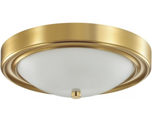 Потолочный светильник Nina 5259/2C Lumion Потолочный светильник Nina 5259/2C Lumion