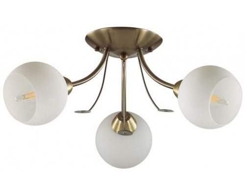 Потолочная люстра Tula 5265/3C Lumion Потолочная люстра Tula 5265/3C Lumion