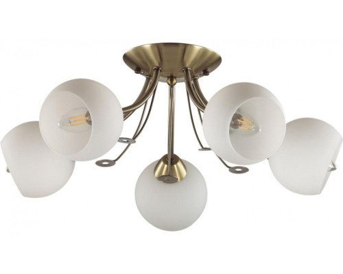 Потолочная люстра Tula 5265/5C Lumion Потолочная люстра Tula 5265/5C Lumion