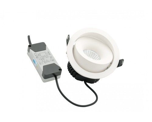 Точечный светильник COMBO DL-FS-1006-60-W-12-WW Lumker