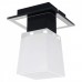 Точечный светильник Lente GRLSC-2507-01 Lussole Loft