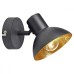 Спот Louisville GRLSP-9973 Lussole Loft