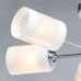 Потолочная люстра Олимпия 106010506 MW-Light
