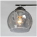Потолочная люстра Альфа 324017505 MW-Light